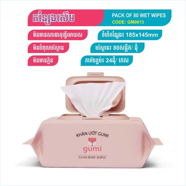Regular Wet wipes Pack of 80